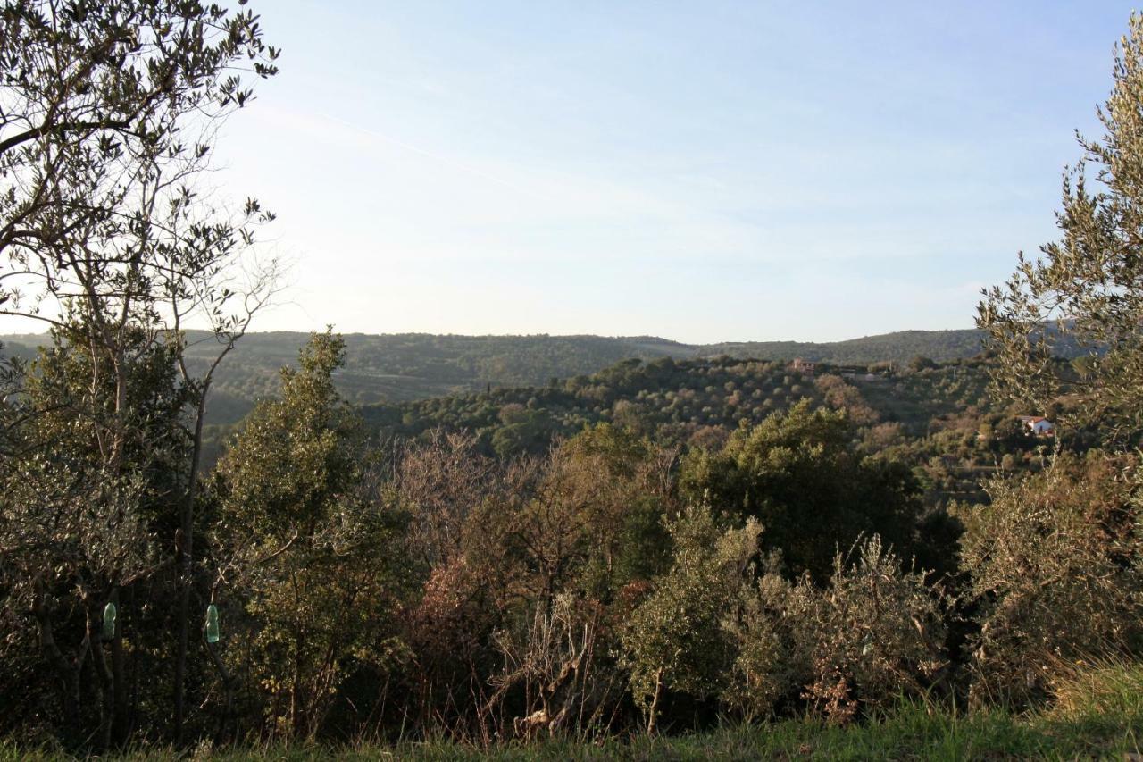 Happy Flat Βίλα Riparbella Εξωτερικό φωτογραφία